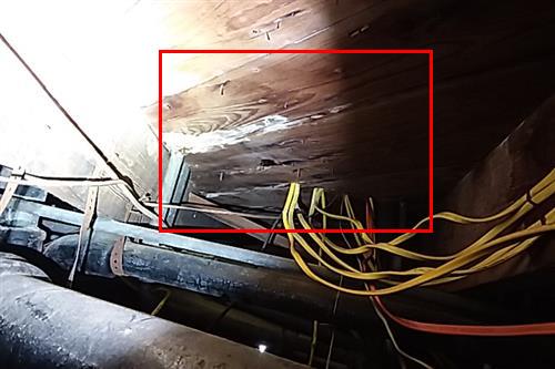 First Florida Home Inspection 4-point inspection photo 26