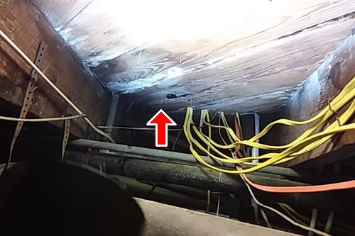 First Florida Home Inspection mold inspection photo 27