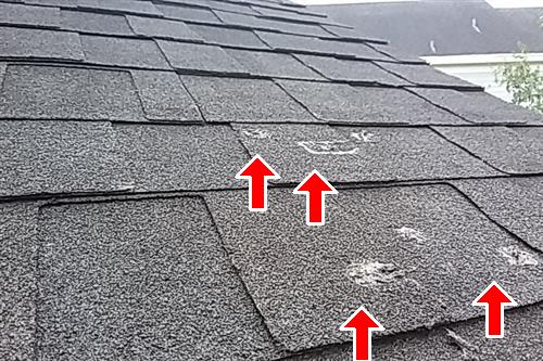 First Florida Home Inspection moisture detection photo 29