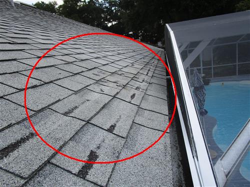 First Florida Home Inspection air quality testing photo 31